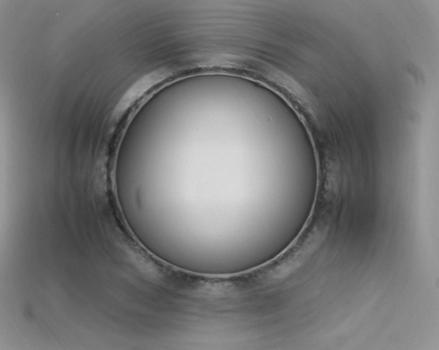 X0000115660978200911121210