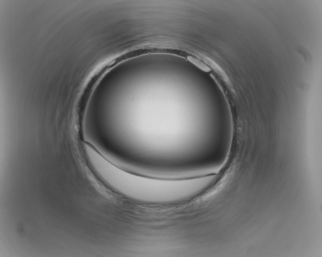 X0000115660981200911121210