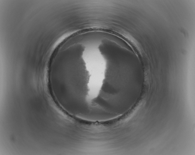 X0000115660983200911121210