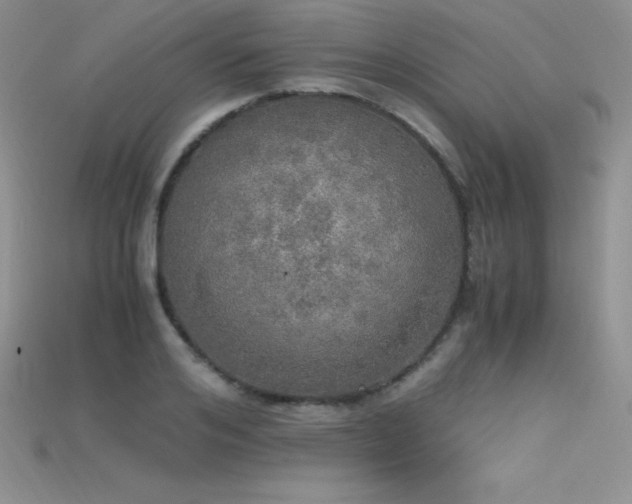 X0000115660984200911121210