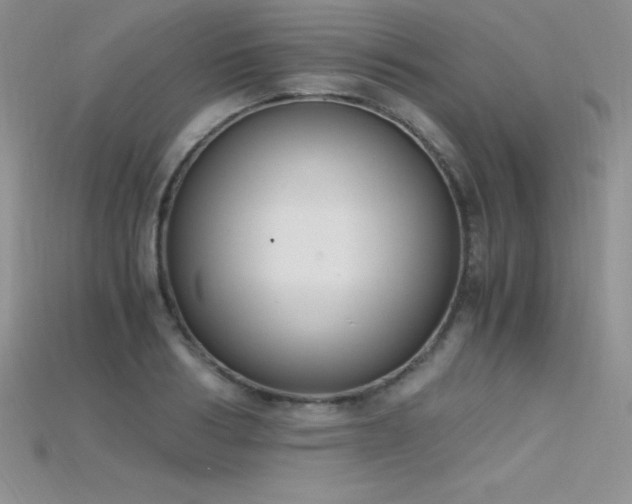 X0000115660986200911121210