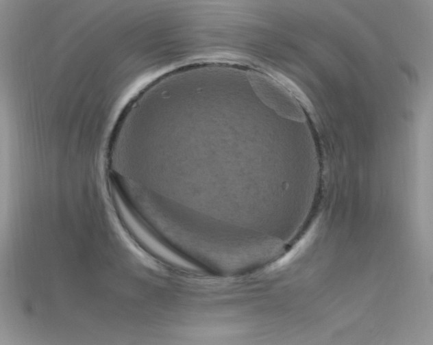 X0000115660989200911121210