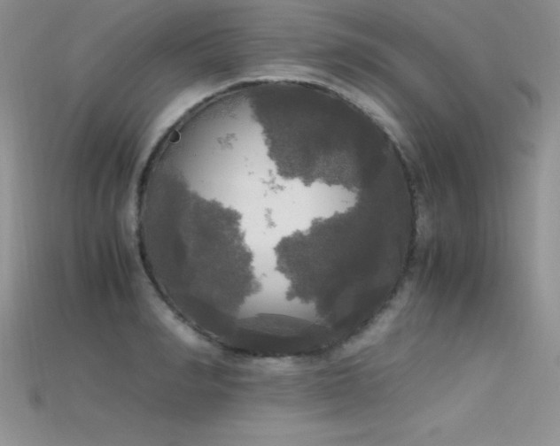 X0000115660990200911121210