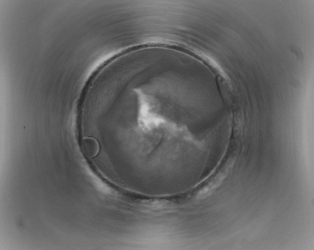 X0000115660991200911121210