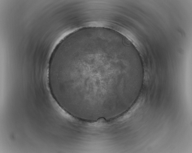 X0000115660992200911121210