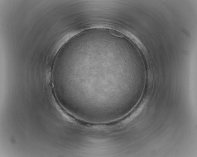 X0000115660993200911121210