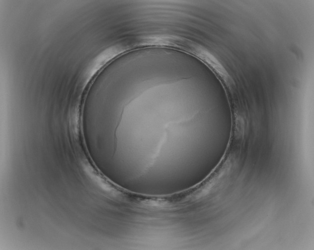 X0000115660994200911121210