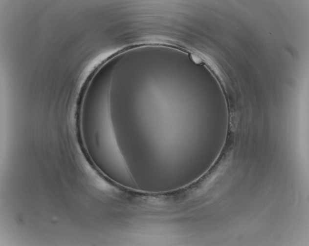 X0000115660995200911121210