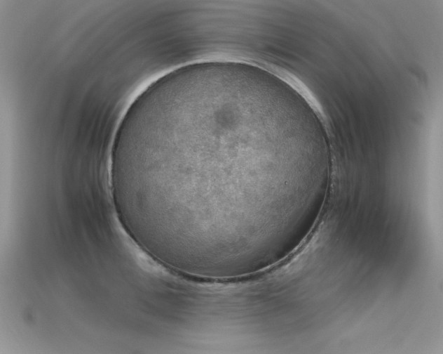 X0000115660996200911121210