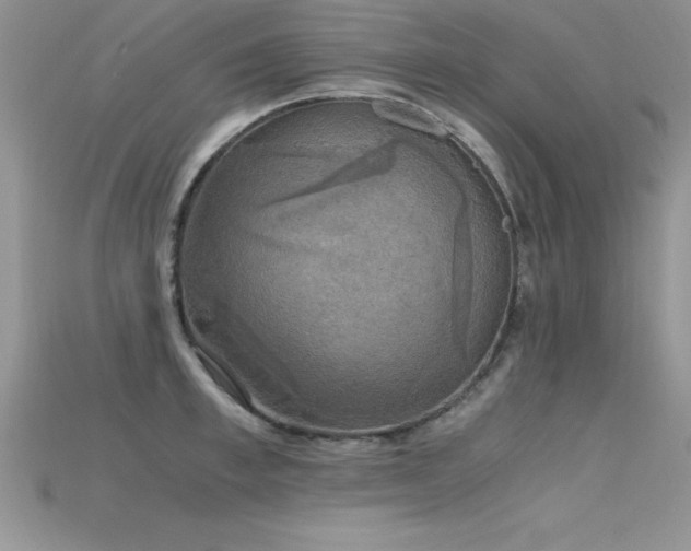 X0000115660997200911121210