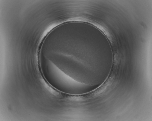 X0000115660998200911121210