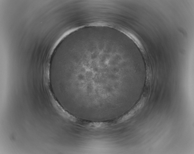 X0000115661000200911121210