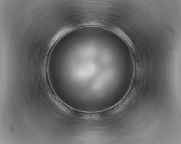 X0000115661002200911121210