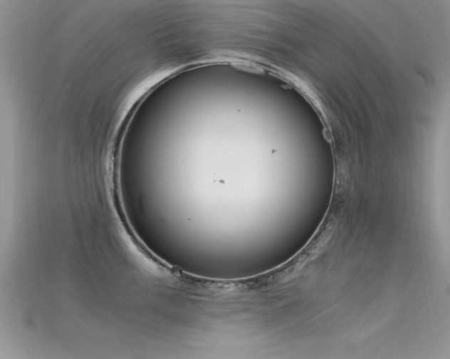 X0000115661003200911121210