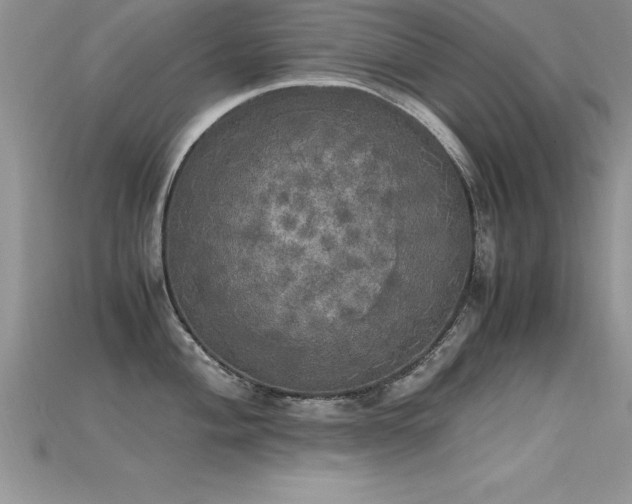 X0000115661004200911121210