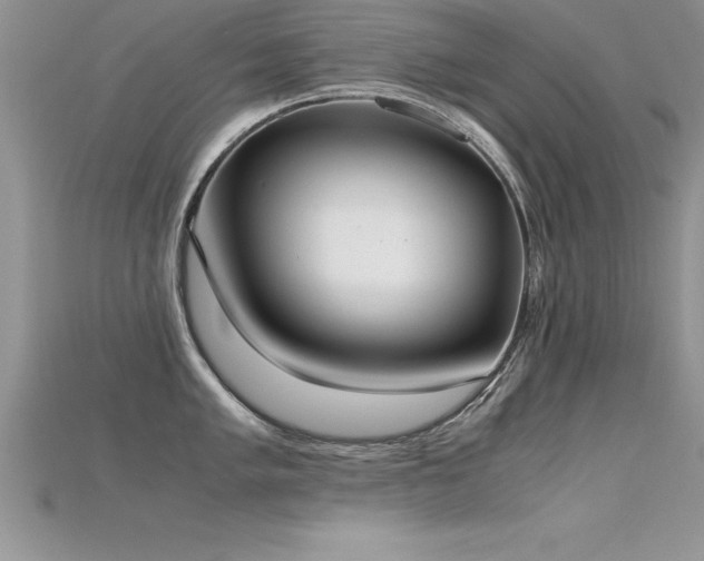 X0000115661005200911121210