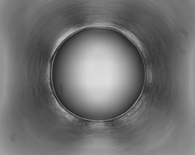X0000115661006200911121210