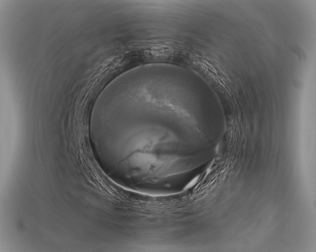 X0000115661009200911121209