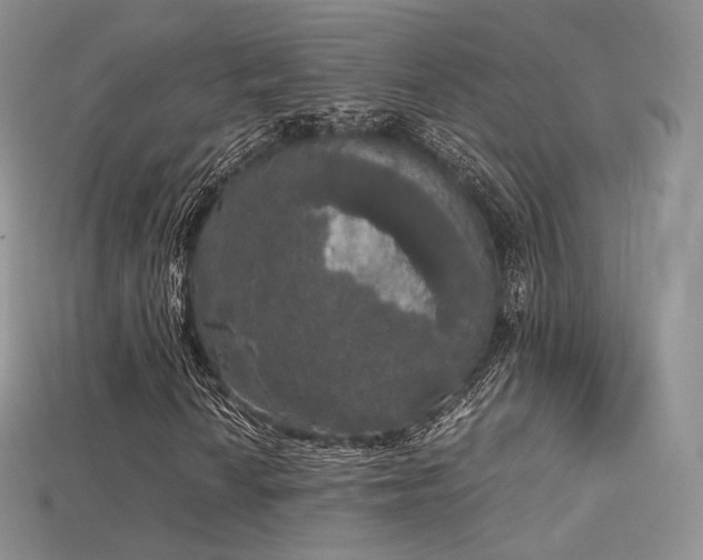 X0000115661010200911121209