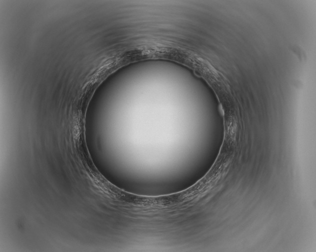 X0000115661012200911121209