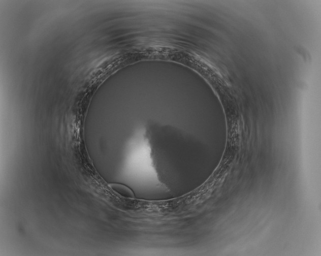 X0000115661013200911121209