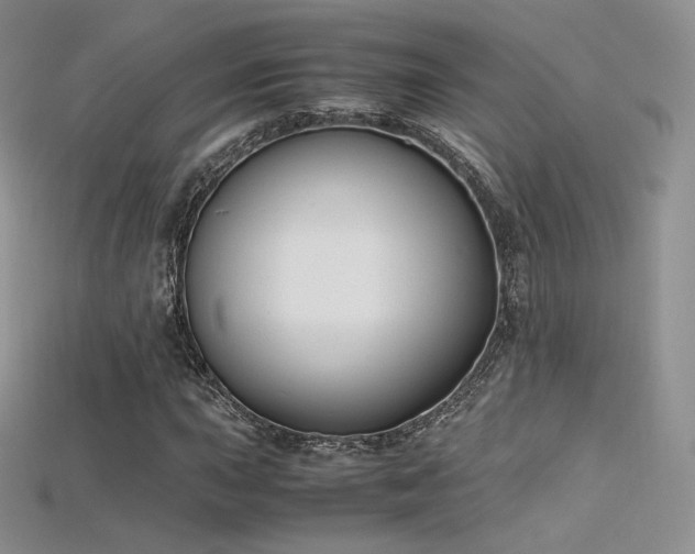 X0000115661015200911121209
