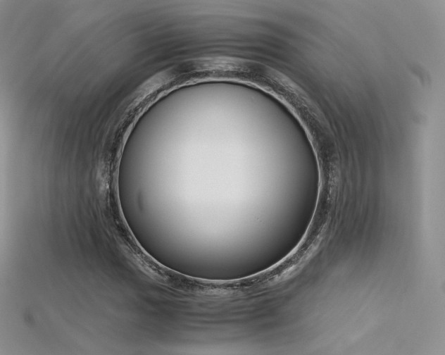 X0000115661017200911121209