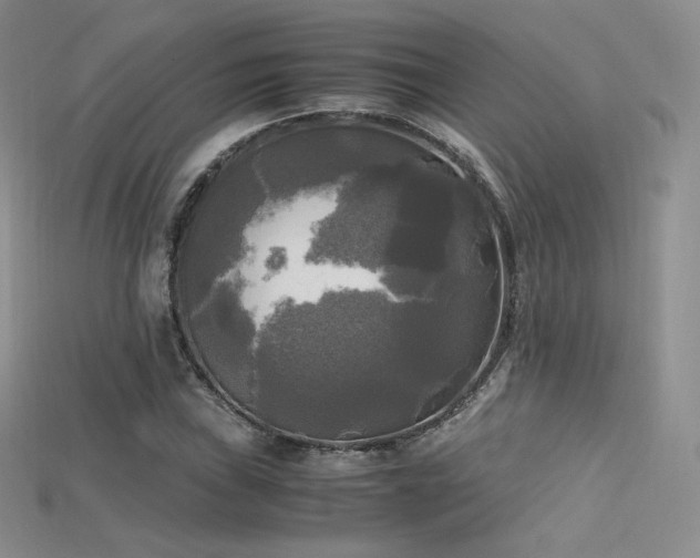 X0000115661019200911121209
