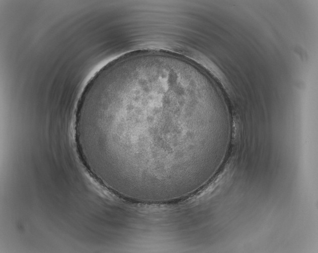 X0000115661020200911121209