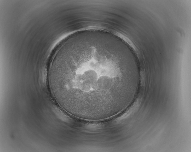 X0000115661021200911121209