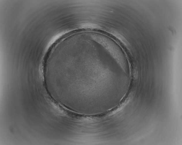 X0000115661022200911121209