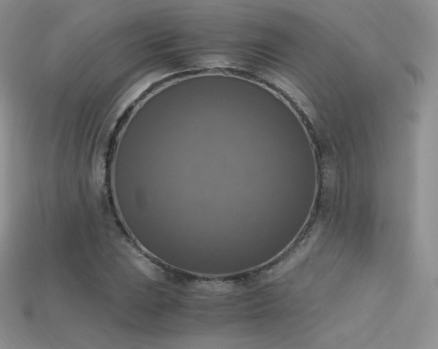 X0000115661023200911121209
