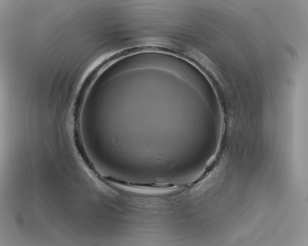 X0000115661024200911121209