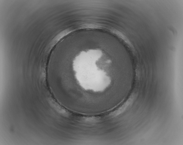 X0000115661025200911121209