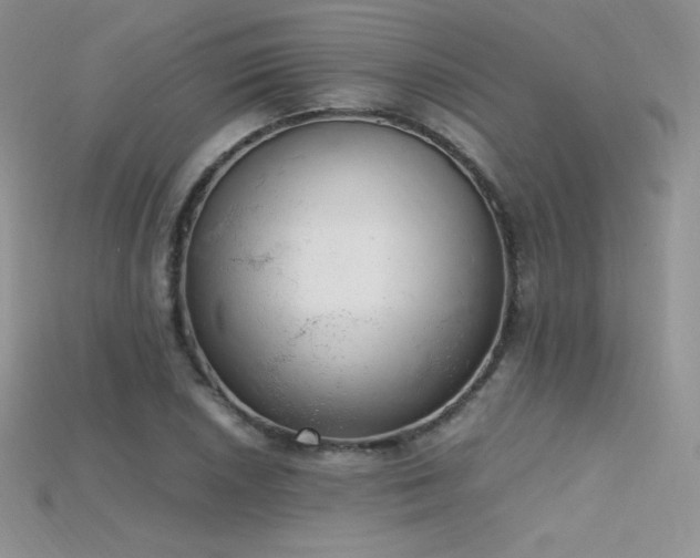 X0000115661026200911121209