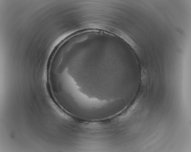 X0000115661028200911121209