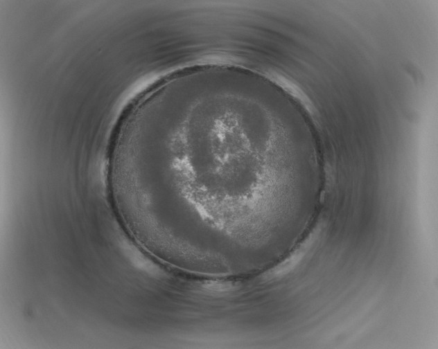 X0000115661029200911121209