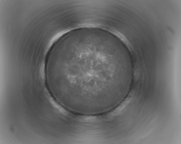 X0000115661030200911121209