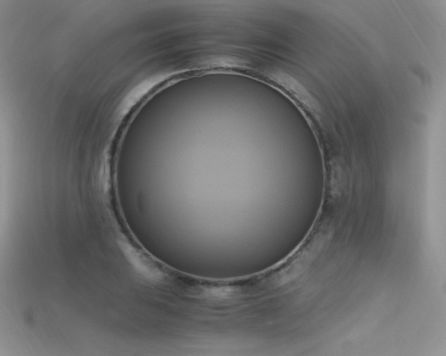 X0000115661031200911121209