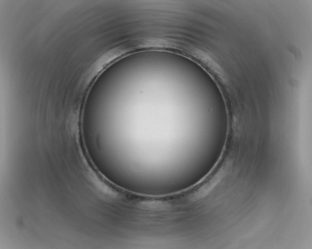 X0000115661033200911121209