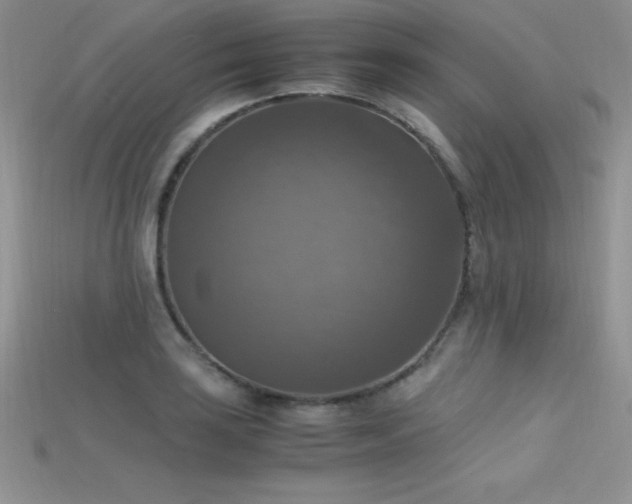 X0000115661035200911121209