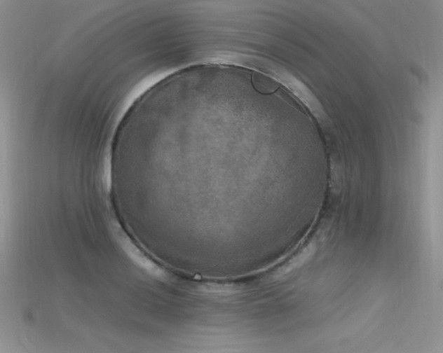 X0000115661036200911121209