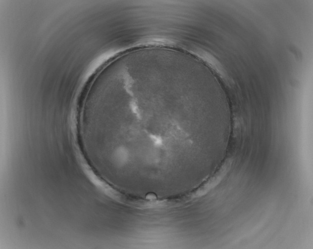 X0000115661038200911121209
