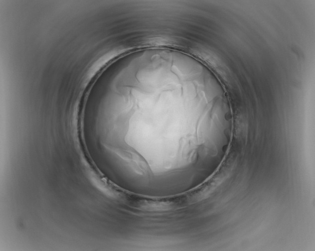 X0000115661039200911121209
