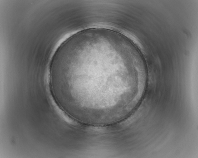 X0000115661040200911121209
