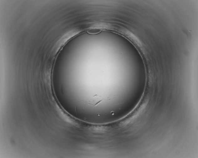 X0000115661041200911121209