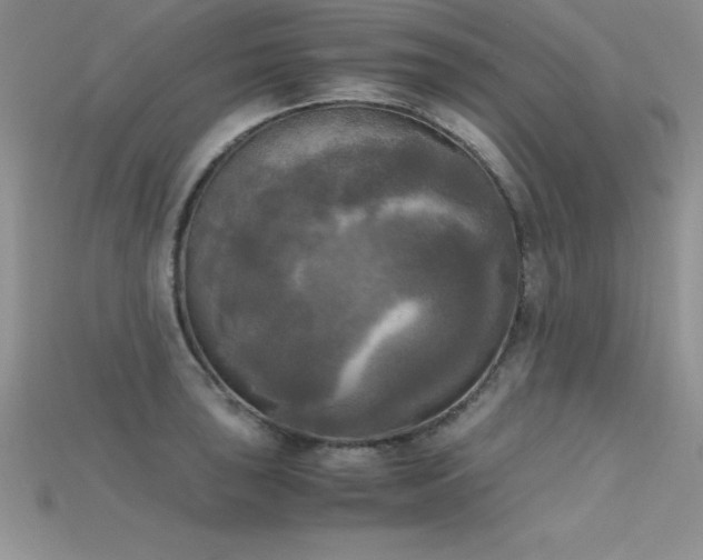 X0000115661043200911121209