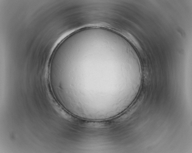 X0000115661044200911121209