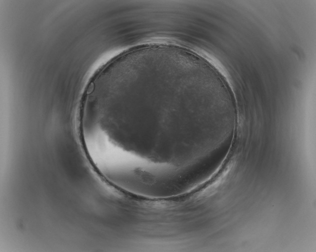 X0000115661045200911121209