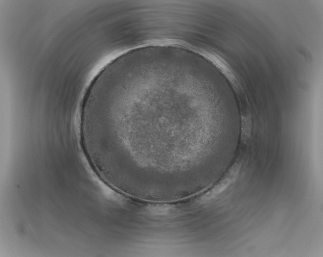 X0000115661046200911121209